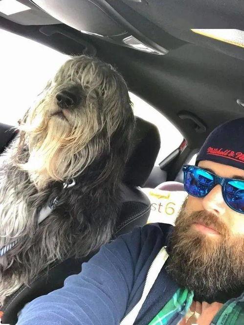 狼狗最新爆料网站,揭秘娱乐圈不为人知的秘密 第1张 狼狗最新爆料网站,揭秘娱乐圈不为人知的秘密 第1张